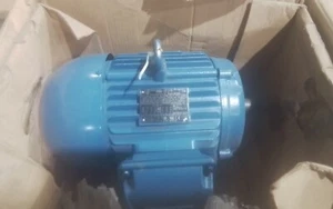 WEG NEMA PEM 00318ET3E182T MOTOR - Picture 1 of 5