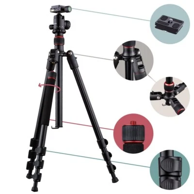 Dörr Aluminium Fotostativ Pro Black PB-165 - bis 165cm Höhe - bis 4kg belastbar - Bild 1 von 4