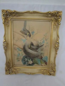 Schönes Aquarell von Vögel im Nest Vogelnest sig. Neumaier - Picture 1 of 1