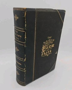 The Royal Path Of Life Hardcover 1878 T.L. Haines Illustrated Western Publishing - Imagen 1 de 24