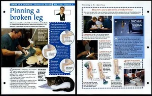 Pinning A Broken Leg #3 Vet Course Animals, Animals, Animals Fact File Page - Picture 1 of 1