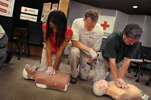 CPR Training Service Business Plan - Picture 1 of 3
