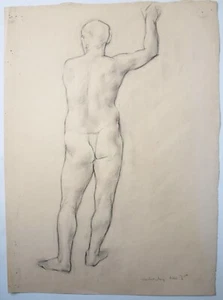 Elspeth Buchanan (1915-2011) Standing male life drawing. 1930's. Life class. - Picture 1 of 1