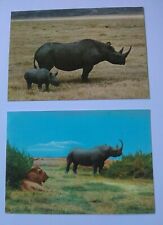 Lot x 2 Rhinoceros Unused Nairobi Studio Postcards