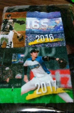 Shohei Ohtani OTANI Baseball Sports Face Towel Nippon Fighters 2013-2017 Japan Cover