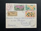 Postal History - Congo Brazzaville 1961 Airs on cover