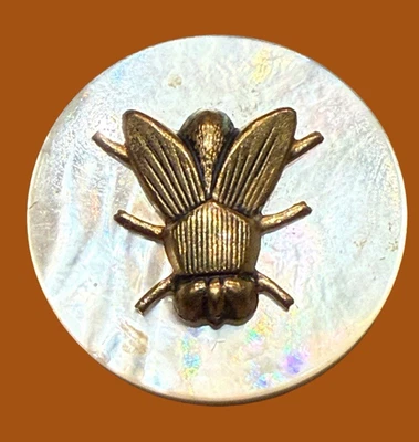 INSECTO mosca de metal escudo sobre perla iridiscente MOP botón antiguo mediano Foto 1 de 2