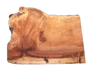 SPALTED MAPLE BURL SLAB TURNING CRAFTING WOODWORKING APPROX 16.5x12x1.5 IN - Picture 1 of 2