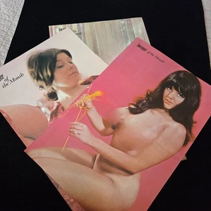 Lot of 3 Centerfolds Magazine Swinger of the Month 1960s pin-up girlie - Imagen 1 de 4