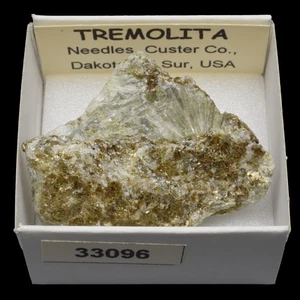 TREMOLITA (Needles, Custer Co., Dakota del Sur, USA) #33096 - Bild 1 von 1