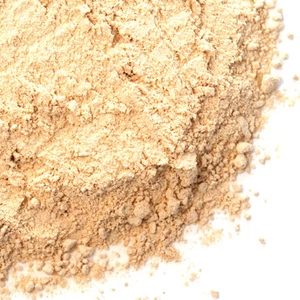 Garlic Powder, Roasted | Bulk | Spice Jungle - Picture 1 of 2
