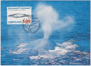 Greenland Maxi 1997,  The Blue Whale (Balaenoptera musculus), mint - Picture 1 of 1