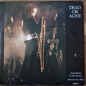 Dead Or Alive - Something In My House - 12" Vinyl Single Record 1986 - VG+/VG - Picture 1 of 6