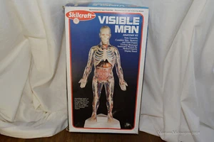 Skilcraft Visible Man Anatomy Model Kit #40155 Open Box Unbuilt Parts Sealed - Picture 1 of 11