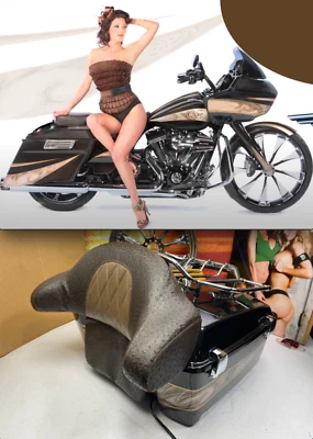 OEM 95-23 Harley Touring Custom Tour Pack Pak Respaldo Avestruz Marrón Foto 1 de 4