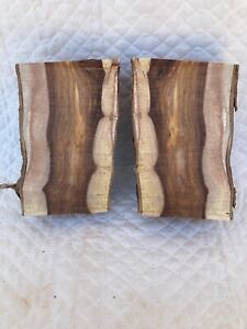 Indian rosewood lumber 3 " X 11 " 1/2 Log
