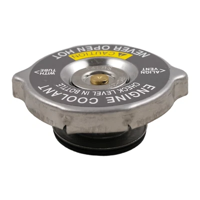 Tapa estándar del radiador PARA puertas 31523 10036879 0005010015 0005010215 Foto 1 de 4