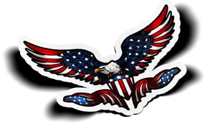 Eagle USA Veteran Military 3" Vinyl Sticker for Tumblers, Laptops, etc. - 3 Pack - Picture 1 of 1
