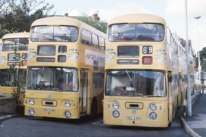 Bus Photo - Yellow Buses Bournemouth XRU278K & SEL241H two shot - Picture 1 of 1