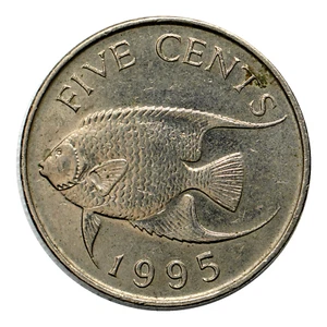 1995 Bermuda 5 Cents Coin, km45, Mintage 700,000 - Rare Coin ๐ง๐ฒ - Picture 1 of 2
