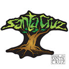 Santa Cruz Cypress Tree Sticker Decal by Tim Ward
