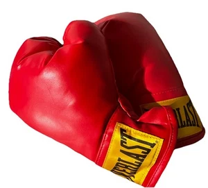 Everlast Youth Boxing Gloves Size S/M - Picture 1 of 5