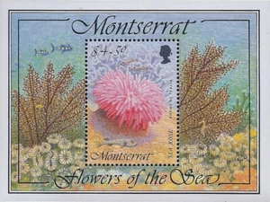 Montserrat Scott #'s 859 postfrisch - Bild 1 von 1