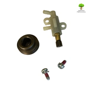 Bomba de Aceite Original Completo Sierra GreenWorks GD40CS15 GD60CS40 GD24X2CS36 - Bild 1 von 3