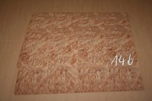 Rüster Maser - Ulme Furnier 260 mm x 360 mm - ELM Burl - 2 Blätter --0146 - Picture 1 of 3