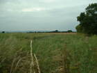 Photo 6x4 North of Bersted Bognor Regis This view North of the downs acro c2005