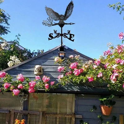 Metal Weather Vane Yard Art Wind Direction Indicator for Roof Lawn Backyard - Image 1 of 4