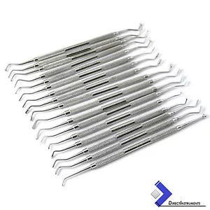 Set Of 17 Dental Amalgam Flat Plastic Composite Filling Instruments Heidman Lab - Picture 1 of 12