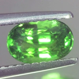 IMPRESIONANTE GRANATE TSAVORITA VERDE SIN CALEFACCIÓN OVALADO AA 1,01 QUILATES NATURAL - Imagen 1 de 3