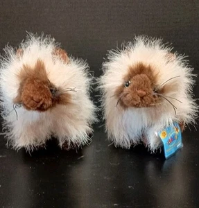 Ganz Webkinz Gatto Himalayano Gattino Peluche Lotto di 2 Uno Con Codice - Foto 1 di 6