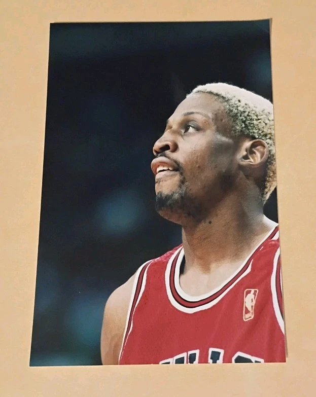 Foto tipo 1 de los toros Dennis Rodman Hw3783 Foto 1 de 1