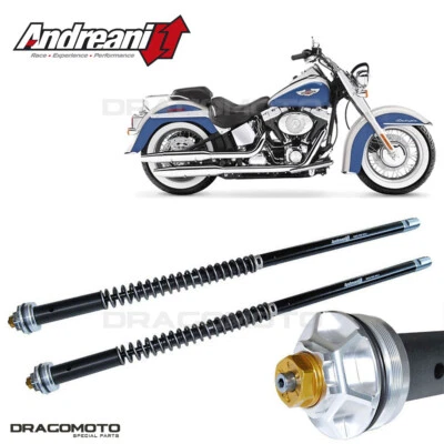 Cartucho Harley-Davidson Softail Deluxe / FLSTN 2013-2023 ANDREANI 110/HD32E... Foto 1 de 4