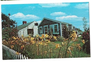 Quaint VILLAGE COTTAGE Tiger Lillies NANTUCKET Massachusetts MA Postcard Koppel - Picture 1 of 2