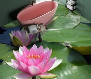 3D Pink Lotus G5196 Floor WallPaper Murals Wall Print Decal AJ Coco 2024 - Picture 1 of 4
