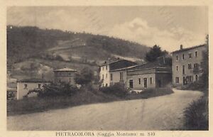 CARTOLINA PIETRACOLORA GAGGIO MONTANO (m.840) EMILIA ROMAGNA VIAGGIATA 1926