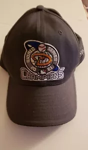 Arizona Diamondbacks Baseball Cap MLB New Era World Series 2001 Champs Hat - Picture 1 of 5