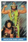 Macho Man Randy Savage 1991 EuroFlash WWF Superstars Stickers Card #103 WWE King