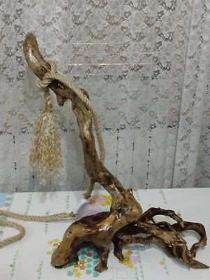 Lampe de sol artisanale, lampe décorative naturelle véritable bois fossile - Photo 1/4