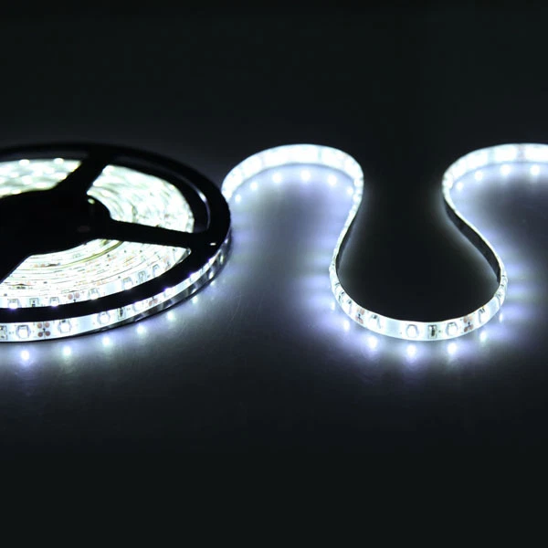 Led Strip Bobina 3528 MT5 300 SMD 12V IP65 24W Striscia Bianco Ghiaccio Resinata - Immagine 1 di 1