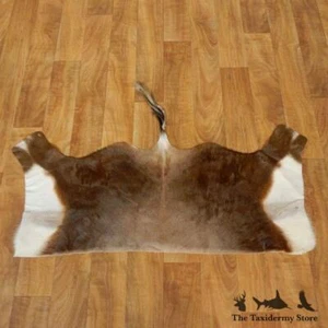 #17464 P | Blesbok Back Hide Taxidermy Mount For Sale - Picture 1 of 5