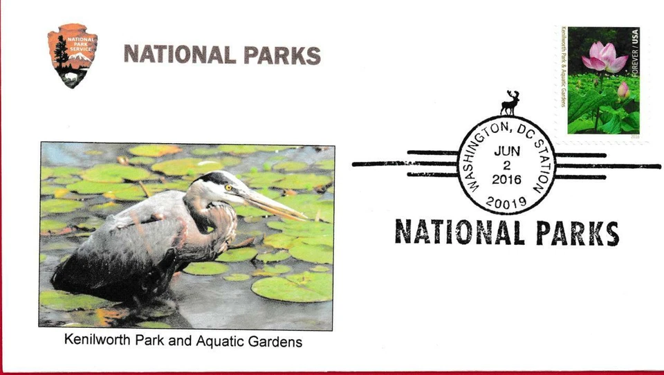 National Parks, Blue Heron at Kenilworth Park and Aquatic Gardens - Image 1 of 1