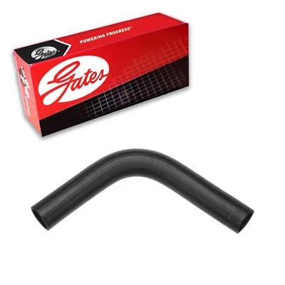 Manguera de refrigerante de radiador Gates inferior para Jeep 6-230 1962-1964 3,8 L L L6 GAS Foto 1 de 4