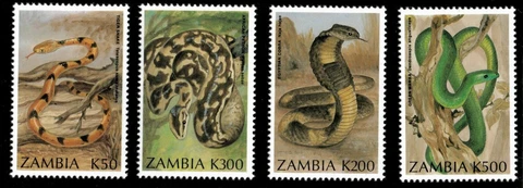 Zambia 1994 - Snakes - Set of 4v - Scott 639-42 - MNH Cover