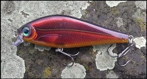 SEÑUELOS DE PESCA RAPALA SUPER SOMBRA RAP SSDR 11 cm UV5 color Pike and Muskie - Imagen 1 de 1