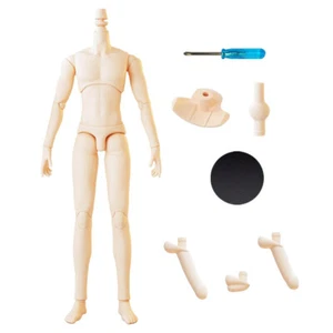 1/6 Male Doll Body Model DIY Toy Gift Doll Body With Movable Joints - Bild 1 von 12
