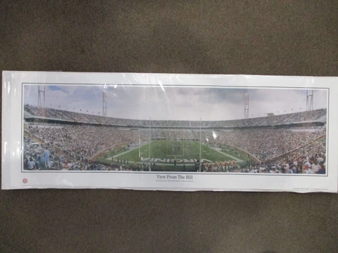 VIRGINIA CAVALIERS 'VIEW FROM THE HILL' GAME POSTER PRINT Game Panoramic Cover